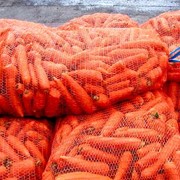 Морковь сорта «Нондрин» фото