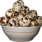 Перепелиные яйца фотография