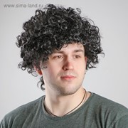 Карнавальный парик, объёмный, обхват головы 56 см, цвет чёрный