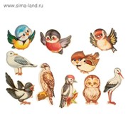 Комплект украшений “Веселые птички“ на скотче, 10 видов, 12 х 12 см фото