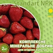 Удобрение комплексное минеральное для ягодных культур Standart NPK фото