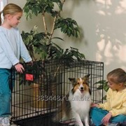 Клетка для собак wikiGROOM №2 2-х дверная размер 77 x 54 x 59.5 см фото