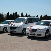 Свадебные автомобили Крым, Симферополь, Севастополь, Ялта, Евпатория, Феодосия фотография