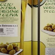Оливковое масло. Опт. фото