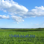 Земельный участок сельхозназначения от 1000 га фото