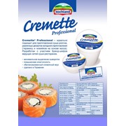 Сыр для суши Креметте(Cremette) Hochland 65% фото