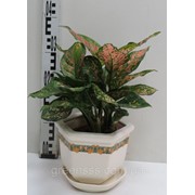 Композиция фото