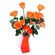 Незабываемый подарок к Первому сентября - неувядающие натуральные розы FLORICH — элитное украшение любого интерьера, и одновременно незабываемый романтичный подарок.