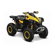 Квадроцикл Can-Am Renegade 800 XXC фото