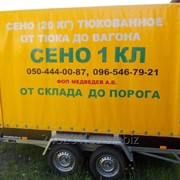 Сено фото