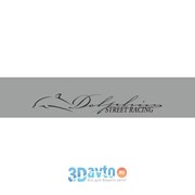 Светофильтр Dolphin (Street Racing) (280х1350) фон серебро цвет черный (1шт.) A-STICKER фото