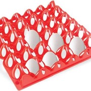 Лотк пластиковый на 30 яйц фото