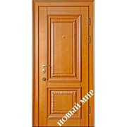 Входная дверь металлическая, категория 5, Невская фото