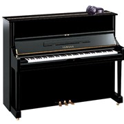 Фортепиано Yamaha U1-Silent (PE) фотография