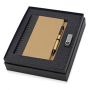 Подарочный набор Essentials с флешкой и блокнотом А5 с ручкой, черный фото