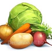 Морковь, свекла, лук, капуста белокочанная, картофель