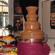Шоколадный фонтан, заказать шоколадный фонтан, стоимость шоколадного фонтана, заказать шоколадный фонтан. фотография