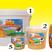 Мед натуральный алтайский, 0.7 кг фото