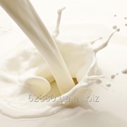 Молочное производство фото