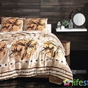 Постельное белье arya ranforce - zen коричневый двуспальный евро фотография