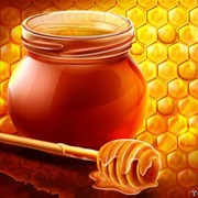 Предлагаем мёд натуральный подсолнечный фотография