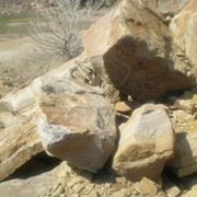 Камень валун для альпийских горок фото
