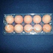 Упаковка для яиц отборных КЯ-10 П/О (прозрачная) фото