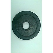 Блины диски резиновые d=50мм фото