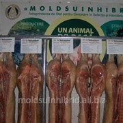 Мясо свинины полутуши охлажденное в Молдове фото
