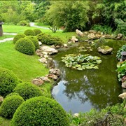 Пруды садовые, пруды домашние, пруды искусственные Винница, пруды садовые Винницкая область фото