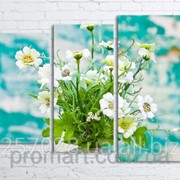 Модульна картина на полотні Квіти в вазі на фоні фарбованої стіни код КМ80106-065 фотография