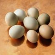 Яйца куриные. фото