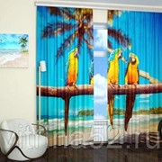 Фотошторы “Тропические попугаи“ фотография