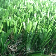 Искусственная трава, не засыпной, двухслойный фото