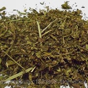 Вероника лекарственная (Veronica officinalis, Heath Speedwell) трава 100 грамм фото