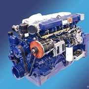 Защита двигателя 612600110856 для дизельного двигателя WD-615 (ВД-615) Weichay Power (Вейчай Повер), 612600110856 фотография