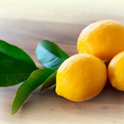 Лимонные листья