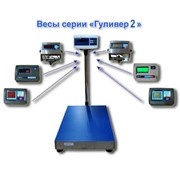 Весы напольные фасовочные МП 60 ВЖА Ф-2 Гулливер 450х600 фото