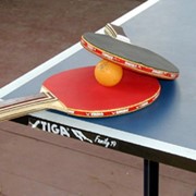 Настольный теннис фото