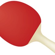 Ракетки для настольного тенниса фото