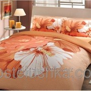 Комплект постельное белье Deluxe Rose orange сатин Hobby фото