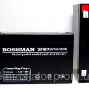 Аккумулятор 6 В 7 Ач свинцово-кислотный герметичный Bossman Profi 6V 3FM7 - LA670 фотография