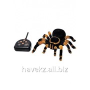 Интерактивный тарантул паук на радиоуправление фото