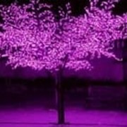 Светодиодные деревья Сакура, Яблоня, Светящиеся деревья, Пальмы фото
