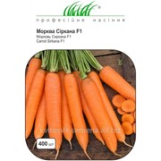 Семена моркови Сиркана F1 фото