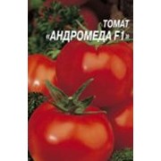 Семена томатов фото