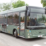 Городской автобус МАЗ-206 фотография
