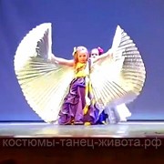 Крылья детские для танца живота (серебро) фото
