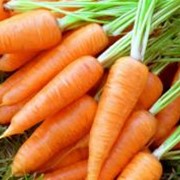 Морковь, продажа, Украина фото