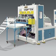Автоматические вакуум формовочные машины для промышленного производства упаковки VFK-800/320HTM фото